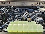 New 2025 Ford F-150 Tremor SuperCrew Cab 4WD Pickup for sale #SFB71718 - photo 22