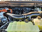 2025 Ford F-150 SuperCrew Cab 4WD Pickup for sale #SFB77333 - photo 21