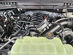 New 2025 Ford F-150 Tremor SuperCrew Cab 4WD Pickup for sale #SFB78370 - photo 22