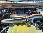 2025 Ford F-150 SuperCrew Cab 4WD Pickup for sale #SFB84809 - photo 22
