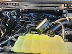 2025 Ford F-150 SuperCrew Cab 4WD Pickup for sale #SFB88185 - photo 22