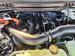 2025 Ford F-150 SuperCrew Cab 4WD Pickup for sale #SFB88378 - photo 22
