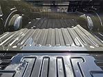 New 2025 Ford F-150 Tremor SuperCrew Cab for sale #SFC20973 - photo 23