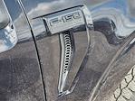 2025 Ford F-150 SuperCrew Cab 4WD Pickup for sale #SKD23738 - photo 5