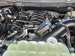 2025 Ford F-150 SuperCrew Cab 4WD Pickup for sale #SKD24199 - photo 22