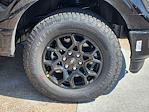 2025 Ford F-150 SuperCrew Cab 4WD Pickup for sale #SKD24199 - photo 8