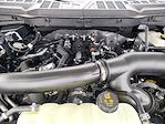 2025 Ford F-150 SuperCrew Cab 4WD Pickup for sale #SKD24210 - photo 22