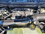 2025 Ford F-150 SuperCrew Cab 4WD Pickup for sale #SKD44652 - photo 21