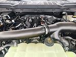 2025 Ford F-150 SuperCrew Cab 4WD Pickup for sale #SKD51043 - photo 22