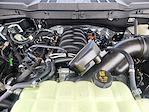 2025 Ford F-150 SuperCrew Cab 4WD Pickup for sale #SKD79532 - photo 22