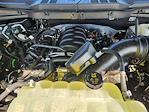 2025 Ford F-150 SuperCrew Cab 4WD Pickup for sale #SKD80638 - photo 22