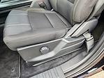 New 2025 Ford F-150 STX SuperCrew Cab 4WD Pickup for sale #SKD90199 - photo 17