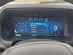 2025 Ford F-150 SuperCrew Cab 4WD Pickup for sale #SKD90716 - photo 11