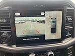 New 2025 Ford F-150 XLT SuperCrew Cab 4WD Pickup for sale #SKD90777 - photo 13