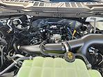 2025 Ford F-150 Regular Cab RWD Pickup for sale #SKE39781 - photo 22