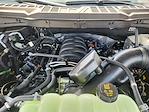 2025 Ford F-150 SuperCrew Cab 4WD Pickup for sale #SKE43261 - photo 22