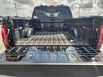 2025 Ford F-150 SuperCrew Cab 4WD Pickup for sale #SKE48373 - photo 21