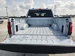 2025 Ford F-150 SuperCrew Cab 4WD Pickup for sale #SKE48374 - photo 21
