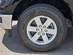New 2025 Ford F-150 XL Regular Cab 4WD Pickup for sale #SKE56802 - photo 7
