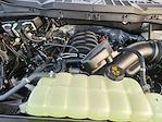 2025 Ford F-150 SuperCrew Cab 4WD Pickup for sale #SKE57352 - photo 22