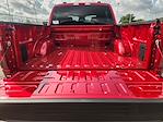New 2025 Ford F-150 STX SuperCrew Cab 4WD Pickup for sale #SKE59582 - photo 21