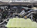 New 2025 Ford F-150 STX SuperCrew Cab 4WD Pickup for sale #SKE59582 - photo 22