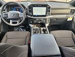 New 2025 Ford F-150 XLT SuperCrew Cab 4WD Pickup for sale #SKE75436 - photo 19