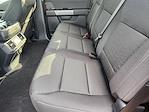 New 2025 Ford F-150 XLT SuperCrew Cab 4WD Pickup for sale #SKE75436 - photo 20
