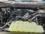 New 2025 Ford F-150 XLT SuperCrew Cab 4WD Pickup for sale #SKE75436 - photo 22