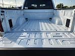 2025 Ford F-150 SuperCrew Cab 4WD Pickup for sale #SKE76562 - photo 21