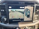 New 2025 Ford F-150 XLT SuperCrew Cab 4WD Pickup for sale #SKE86225 - photo 13