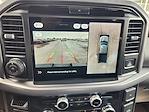 New 2025 Ford F-150 XLT SuperCrew Cab 4WD Pickup for sale #SKE86455 - photo 13
