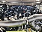 2025 Ford F-150 SuperCrew Cab 4WD Pickup for sale #SKF23232 - photo 22