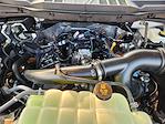 New 2025 Ford F-150 STX SuperCrew Cab Pickup for sale #SKF31703 - photo 21