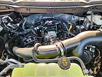 New 2025 Ford F-150 STX SuperCrew Cab for sale #SKF63620 - photo 22