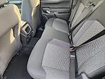 New 2025 Ford Ranger XLT SuperCrew Cab Pickup for sale #SLE16123 - photo 20