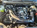 New 2025 Ford Ranger XLT SuperCrew Cab 4WD Pickup for sale #SLE19798 - photo 22