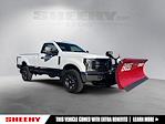 2019 Ford F-250 Regular Cab 4WD Plow Truck for sale #N10541Z - photo 1