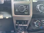 2021 Ford F-250 Crew Cab 4x4 Pickup for sale #NA63456A - photo 17
