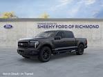 2025 Ford F-150 SuperCrew Cab 4x4 Pickup for sale #NB09171 - photo 3