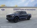 2025 Ford F-150 SuperCrew Cab 4x4 Pickup for sale #NB14893 - photo 3