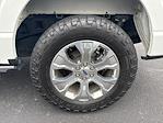 2021 Ford F-150 SuperCrew Cab 4x4 Pickup for sale #NB42476A - photo 15