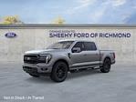 2025 Ford F-150 SuperCrew Cab 4x4 Pickup for sale #NB50756 - photo 3