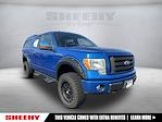 2010 Ford F-150 SuperCrew Cab 4x4 Pickup for sale #NC08262A - photo 1