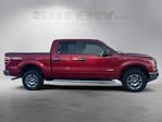 2012 Ford F-150 SuperCrew Cab 4WD Pickup for sale #ND08971A - photo 9