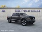 2025 Ford F-150 SuperCrew Cab 4x4 Pickup for sale #NE37633 - photo 1