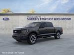 2025 Ford F-150 SuperCrew Cab 4x4 Pickup for sale #NE37633 - photo 3