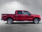 2013 Ford F-150 SuperCrew Cab 4WD Pickup for sale #NE42677A - photo 9