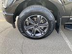 2023 Ford F-150 SuperCrew Cab 4x4 Pickup for sale #NJ4613P - photo 15