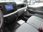 2025 Ford F-550 Regular Cab DRW 4x2 Cab Chassis for sale #334087 - photo 11